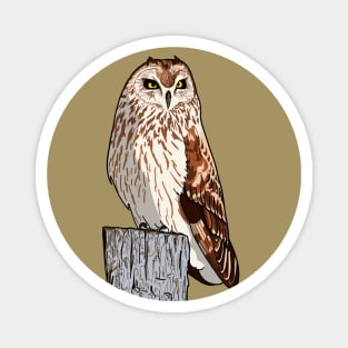 Short-eared Owl Magnet